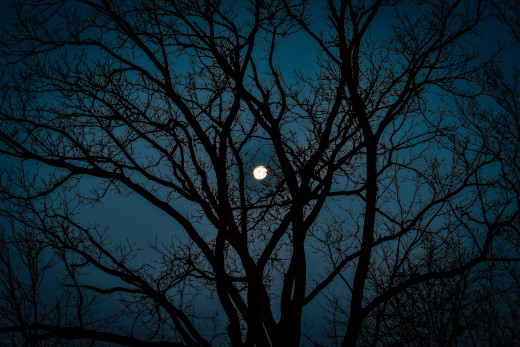 �1760335 �������(a): ����������:3500x2332